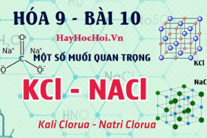 Một số muối quan trọng, tính chất hóa học của Natri Clorua NaCl, Kali Nitrat KNO3 - hóa 9 bài 10